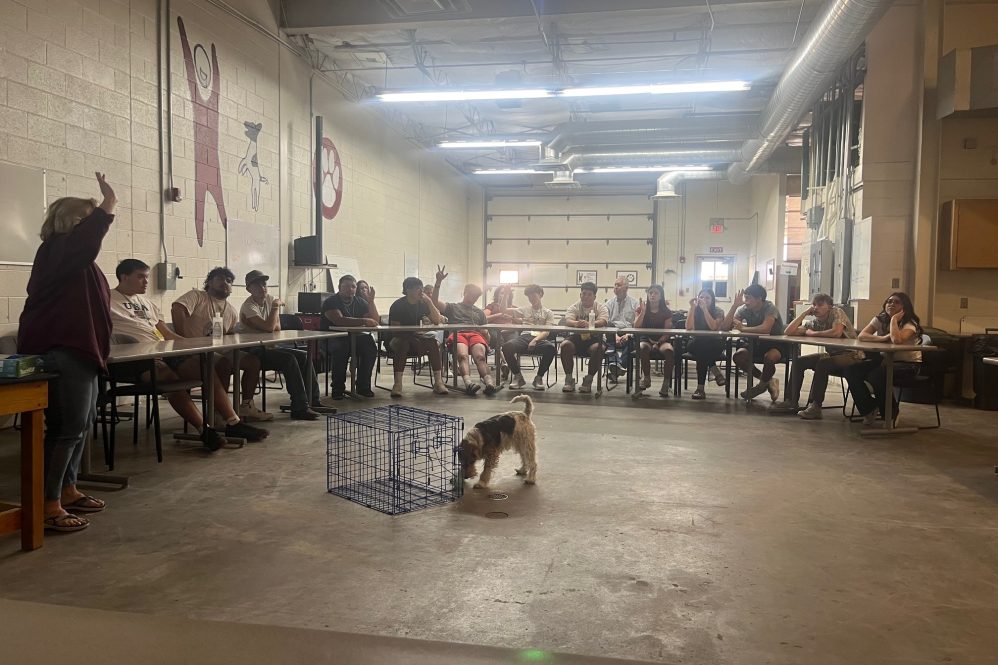 Dr. Fasenko gives dog puzzle presentation to visiting students from Raton, N.M.