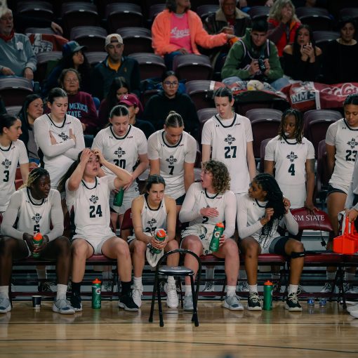 NMSU Womens Basketball